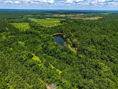 Your own hunting, fishing & recreational paradise sits on over - photo 30