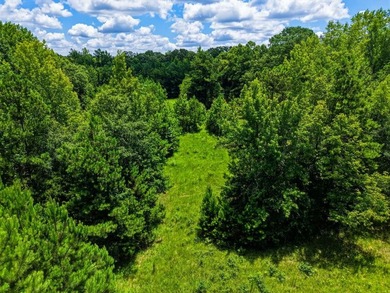 Your own hunting, fishing & recreational paradise sits on over - photo 36