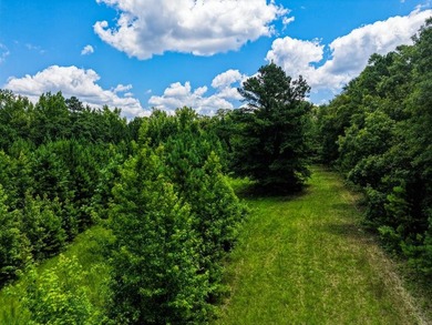 Your own hunting, fishing & recreational paradise sits on over - photo 37