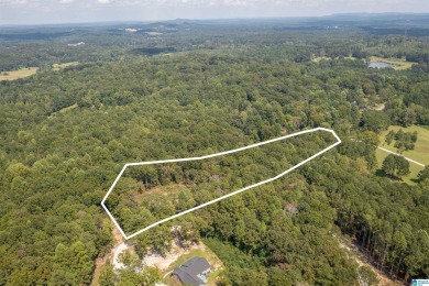 (private lake, pond, coastal) Acreage For Sale in Delta Alabama