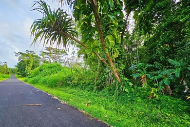 Discover the perfect place to build your island dream home on - photo 3