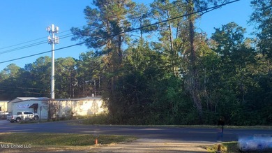 ''Central Park'' Subdivision Lots 1-19 with 475' frontage on - photo 5