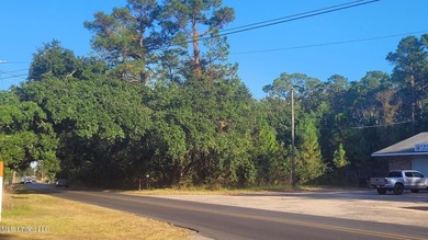 ''Central Park'' Subdivision Lots 1-19 with 475' frontage on - photo 7