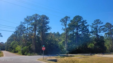 ''Central Park'' Subdivision Lots 1-19 with 475' frontage on - photo 8