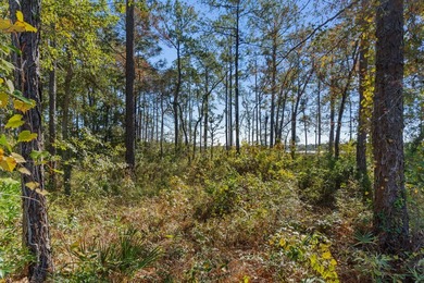 Waterfront land for sale on LaGrange Bayou in Freeport, Florida! - photo 29