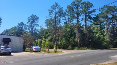 ''Central Park'' Subdivision Lots 1-19 with 475' frontage on - photo 10