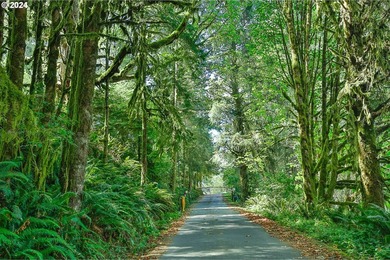 Council Hill Estates is Beautiful Rural lakefront Gated - photo 35