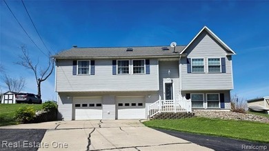 Enjoy Paw Paw Lake living without the Paw Paw Lake price tag - photo 1