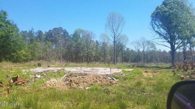 Mostly high dry cleared acreage with two ponds just outside city - photo 11