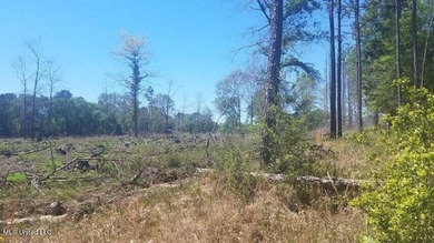 Mostly high dry cleared acreage with two ponds just outside city - photo 13