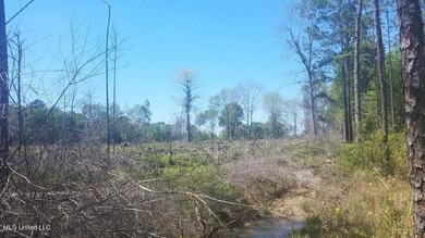 Mostly high dry cleared acreage with two ponds just outside city - photo 14