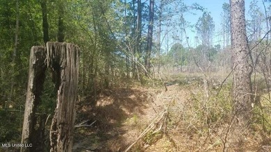 Mostly high dry cleared acreage with two ponds just outside city - photo 15