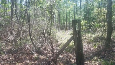 Mostly high dry cleared acreage with two ponds just outside city - photo 16