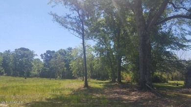 Mostly high dry cleared acreage with two ponds just outside city - photo 17