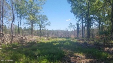 Mostly high dry cleared acreage with two ponds just outside city - photo 18