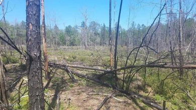 Mostly high dry cleared acreage with two ponds just outside city - photo 19