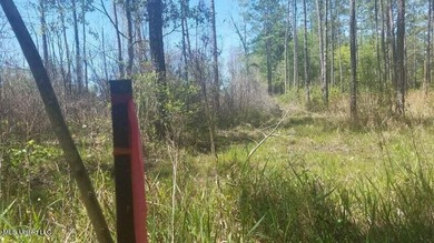 Mostly high dry cleared acreage with two ponds just outside city - photo 20