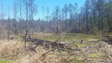 Mostly high dry cleared acreage with two ponds just outside city - photo 21