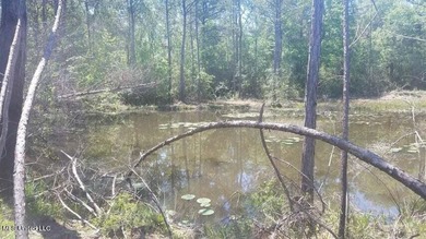 Mostly high dry cleared acreage with two ponds just outside city - photo 23