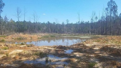 Mostly high dry cleared acreage with two ponds just outside city - photo 24