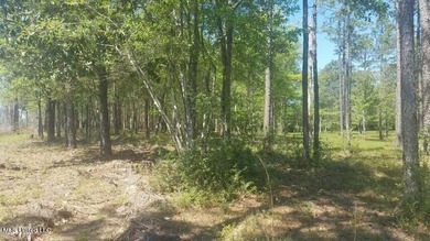 Mostly high dry cleared acreage with two ponds just outside city - photo 45