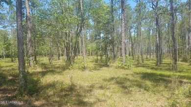 Mostly high dry cleared acreage with two ponds just outside city - photo 46