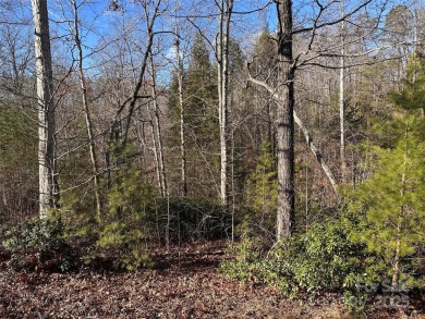 Lake Lot For Sale in Lake Lure, North Carolina