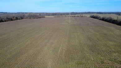 Lake Graham Acreage For Sale in Jackson Tennessee