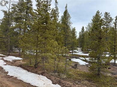 Twin Lakes Reservoir Lot For Sale in Twin Lakes Colorado