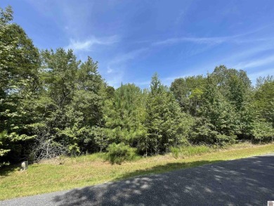 Lake Lot For Sale in Murray, Kentucky