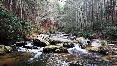 INCREDIBLE, WATERFRONT APPALACHIAN HIDEAWAY WITH MILLION DOLLAR - photo 2