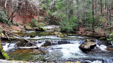 INCREDIBLE, WATERFRONT APPALACHIAN HIDEAWAY WITH MILLION DOLLAR - photo 3