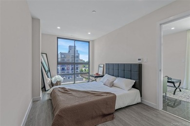New construction designer condominium on 52nd Street between - photo 4