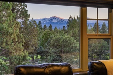 Don't miss out; tucked into a pine canopy overlooking Aspen - photo 44
