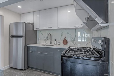 New construction designer condominium on 52nd Street between - photo 5