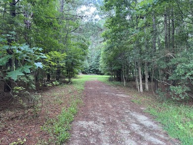 This spacious 1-acre lot on Johns Island offers the perfect - photo 1