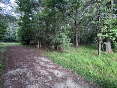 This spacious 1-acre lot on Johns Island offers the perfect - photo 2