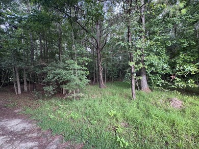 This spacious 1-acre lot on Johns Island offers the perfect - photo 3