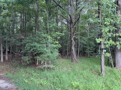 This spacious 1-acre lot on Johns Island offers the perfect - photo 4