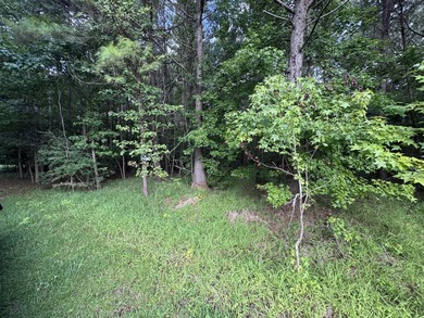 This spacious 1-acre lot on Johns Island offers the perfect - photo 5
