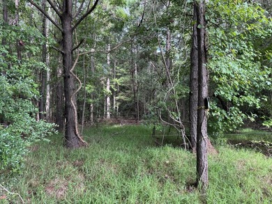 This spacious 1-acre lot on Johns Island offers the perfect - photo 6