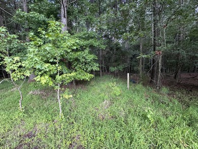 This spacious 1-acre lot on Johns Island offers the perfect - photo 7