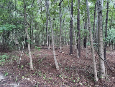 This spacious 1-acre lot on Johns Island offers the perfect - photo 8