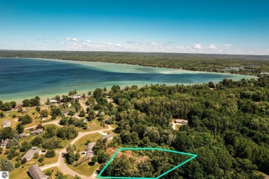 Torch River Lot For Sale in Rapid City Michigan
