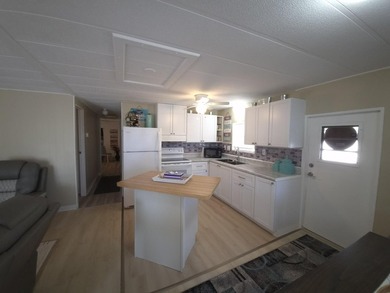 Welcome to this 2 bedroom, 2 bathroom turn-key home is fully - photo 3