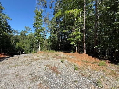 UN-RESTRICTED LOT on the Chattahoochee River!! Build your dream - photo 3