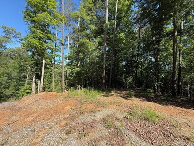 UN-RESTRICTED LOT on the Chattahoochee River!! Build your dream - photo 5