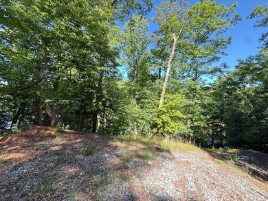 UN-RESTRICTED LOT on the Chattahoochee River!! Build your dream - photo 6