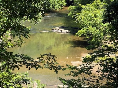 UN-RESTRICTED LOT on the Chattahoochee River!! Build your dream - photo 8