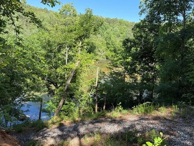 UN-RESTRICTED LOT on the Chattahoochee River!! Build your dream - photo 9